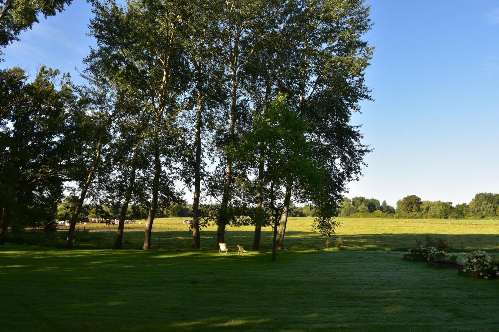 Domaine De L'Ermitage Bed and Breakfast Berry-Bouy Εξωτερικό φωτογραφία