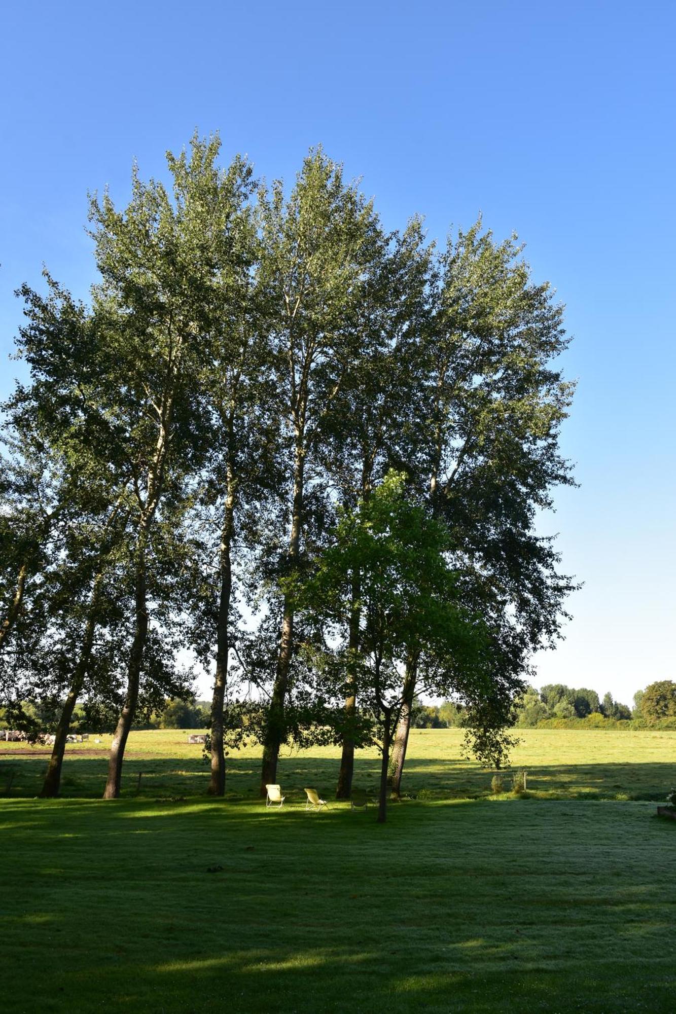 Domaine De L'Ermitage Bed and Breakfast Berry-Bouy Εξωτερικό φωτογραφία