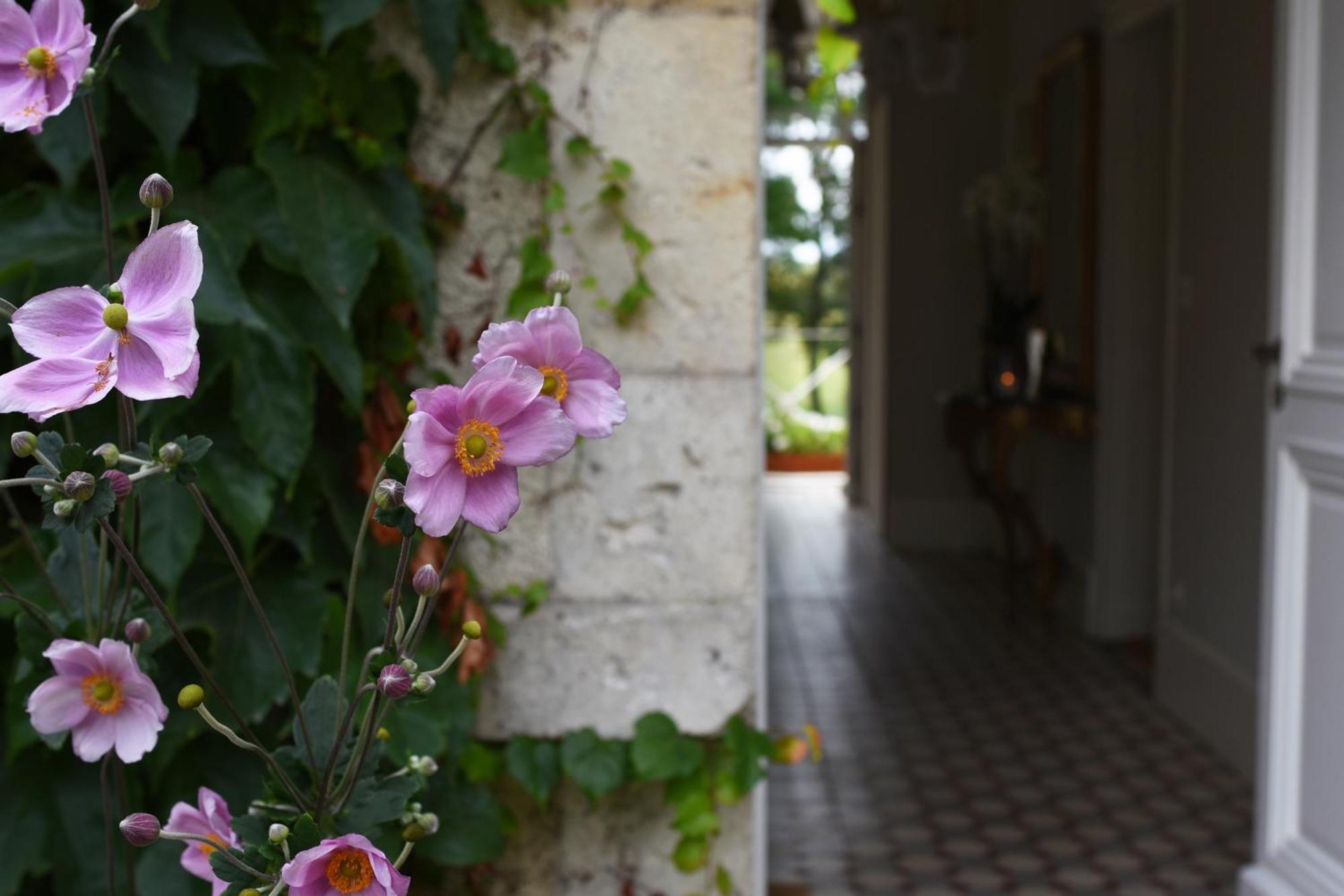 Domaine De L'Ermitage Bed and Breakfast Berry-Bouy Εξωτερικό φωτογραφία
